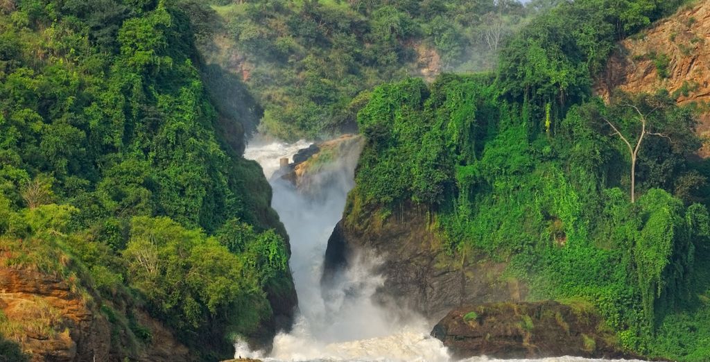 Tour privato: Dal Nilo al trekking con i gorilla