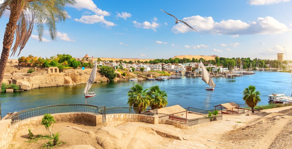 Circuito: Templos de Abu Simbel en 7 noches