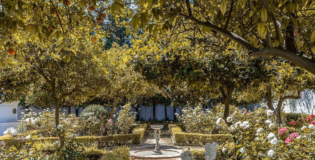 Hotel Monasterio de San Francisco 4*