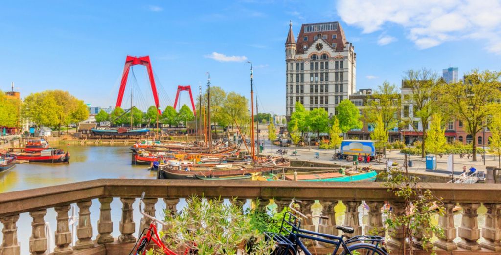 Tour di gruppo: Incanto tra fiandre e polder 