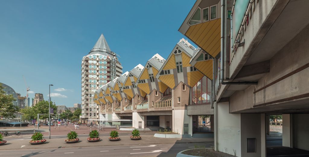 Tour di gruppo: Incanto tra fiandre e polder 