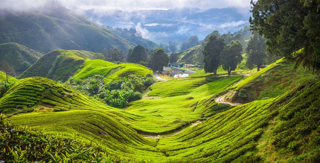 Tour privato: La Malesia incantata da Kuala Lumpur a Langkawi