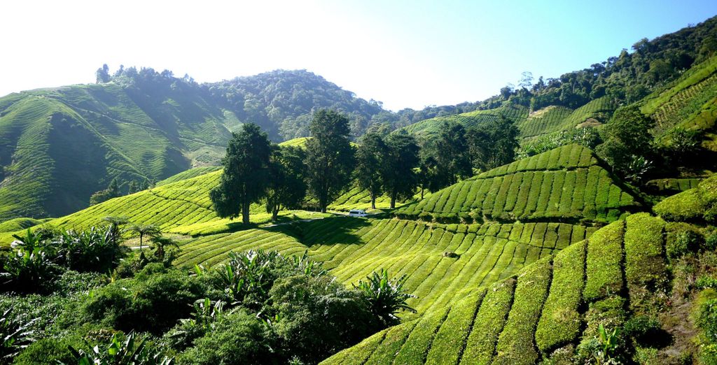 Tour privato: La Malesia incantata da Kuala Lumpur a Langkawi