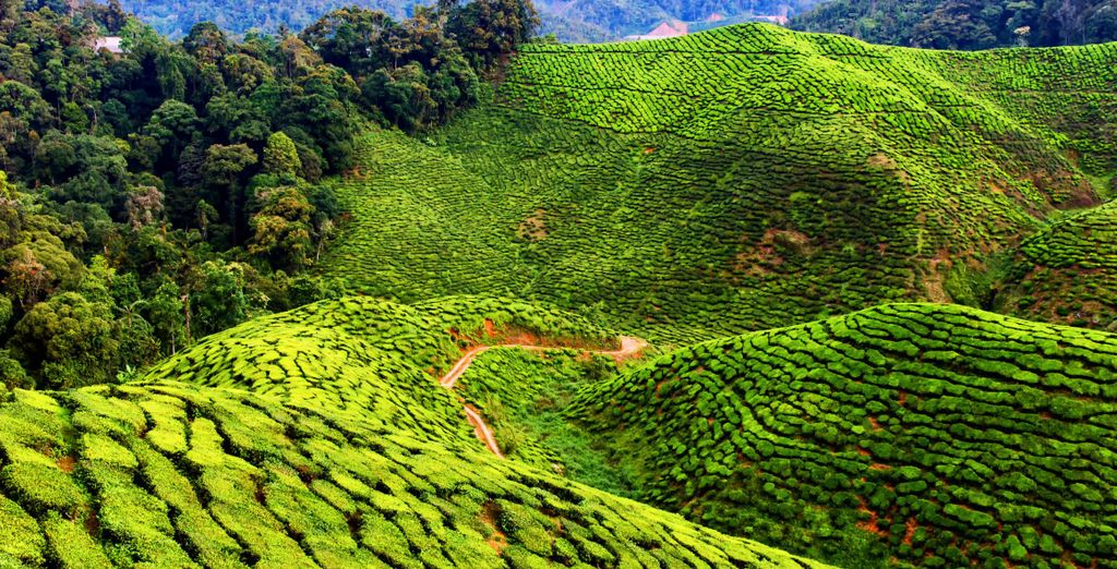 Tour privato: La Malesia incantata da Kuala Lumpur a Langkawi