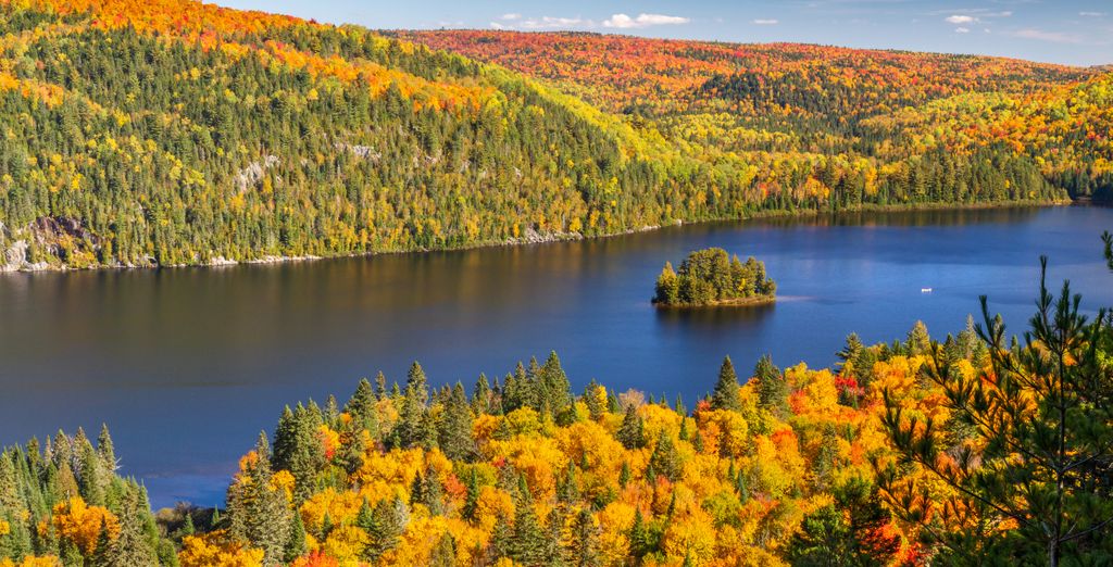 Tour in auto: Città mitiche e la bellezza del Québec