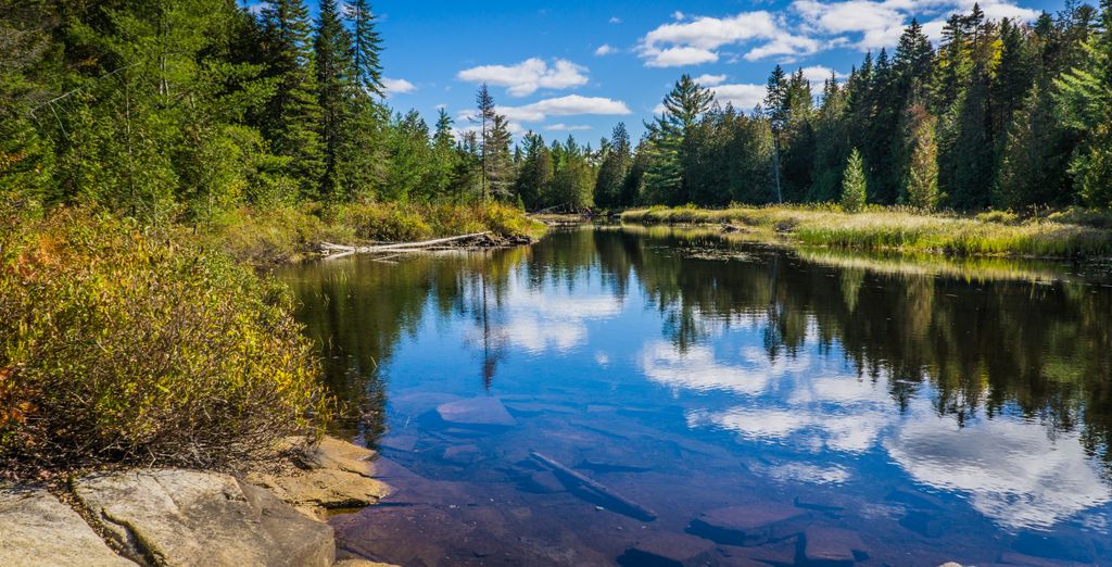 Tour in auto: Città mitiche e la bellezza del Québec