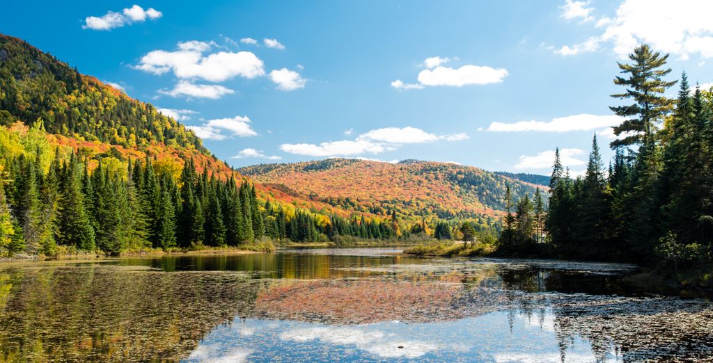 Tour in auto: Città mitiche e la bellezza del Québec