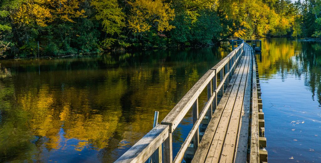 Tour in auto: Città mitiche e la bellezza del Québec
