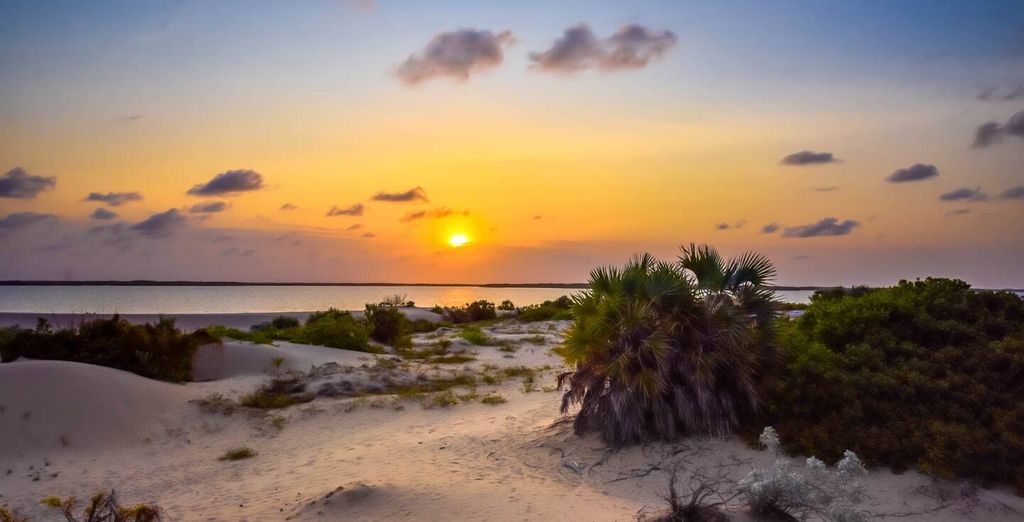 Voyager Beach Resort 4* e Kizingo Eco Lodge 4* con safari opzionale