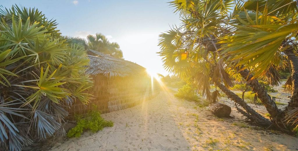 Voyager Beach Resort 4* e Kizingo Eco Lodge 4* con safari opzionale