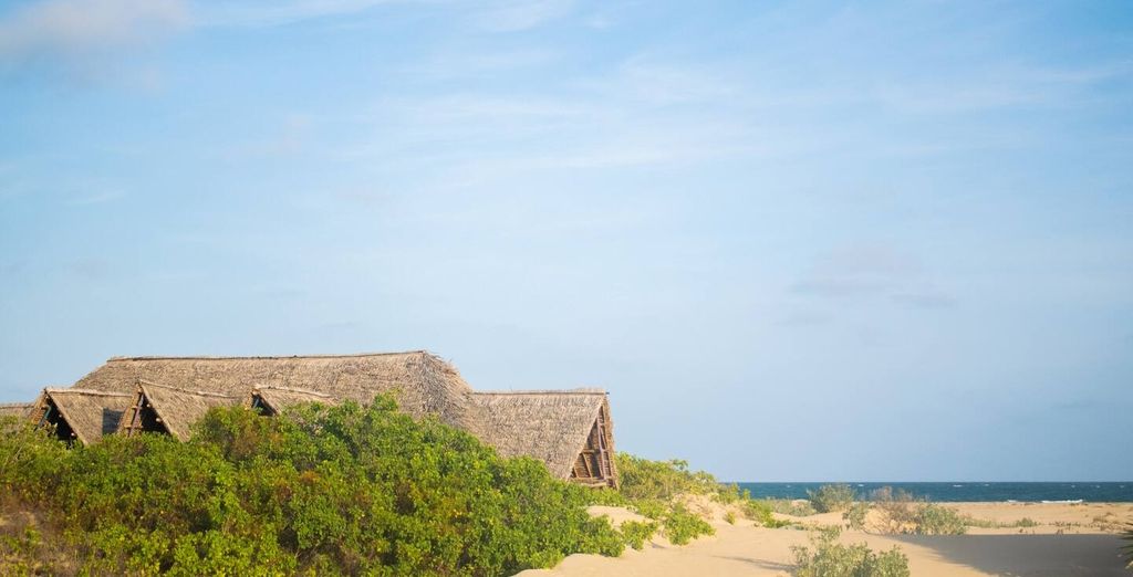 Voyager Beach Resort 4* e Kizingo Eco Lodge 4* con safari opzionale