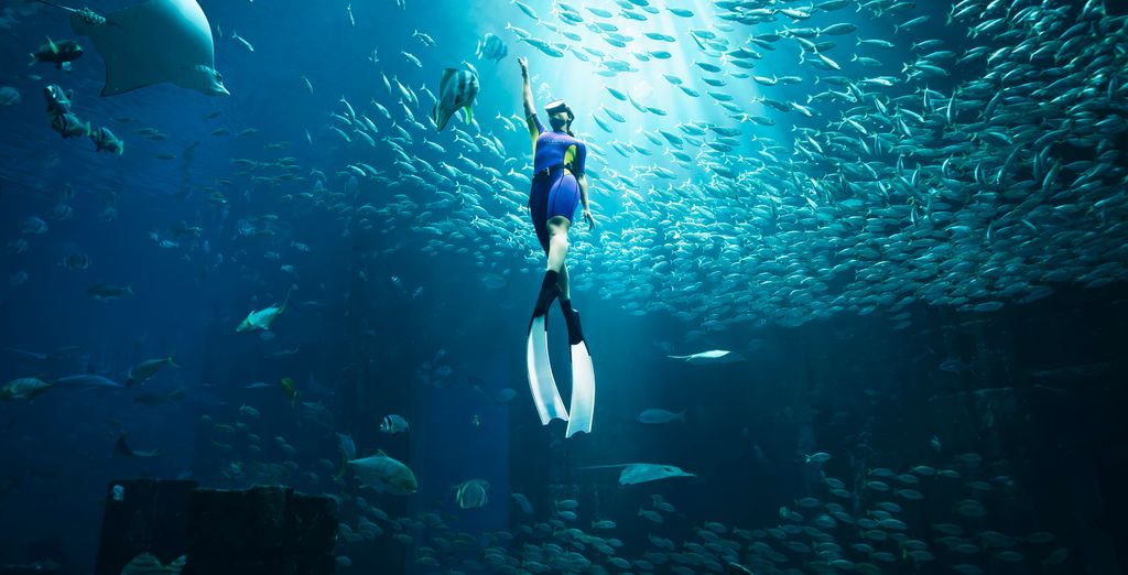 Atlantis The Palm 5*