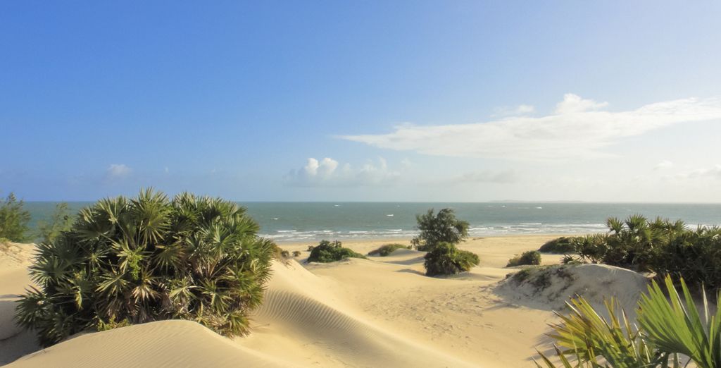 Voyager Beach Resort 4* e Kizingo Eco Lodge 4* con safari opzionale