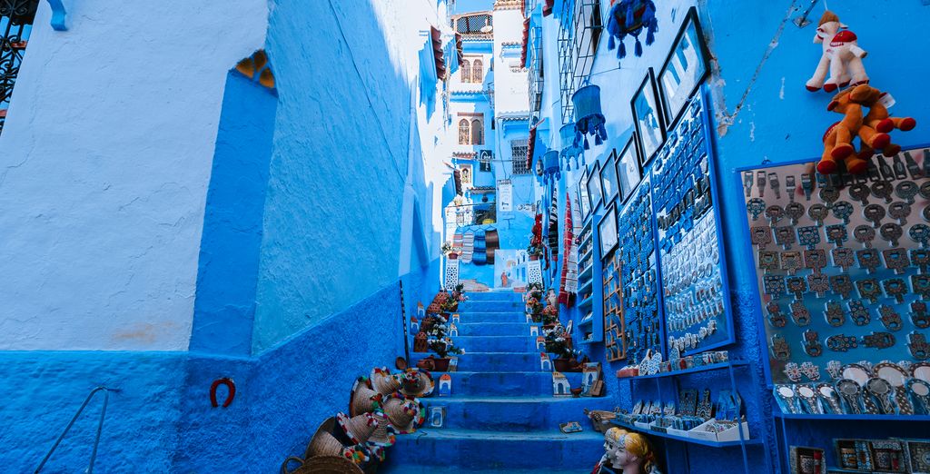 Riad Dari e Iguana Azul 