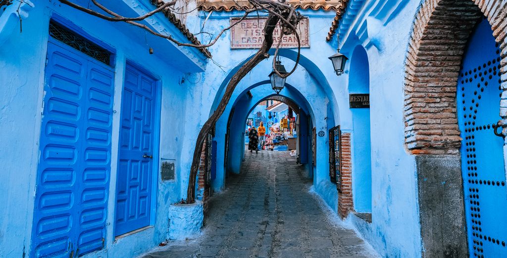 Riad Dari e Iguana Azul 