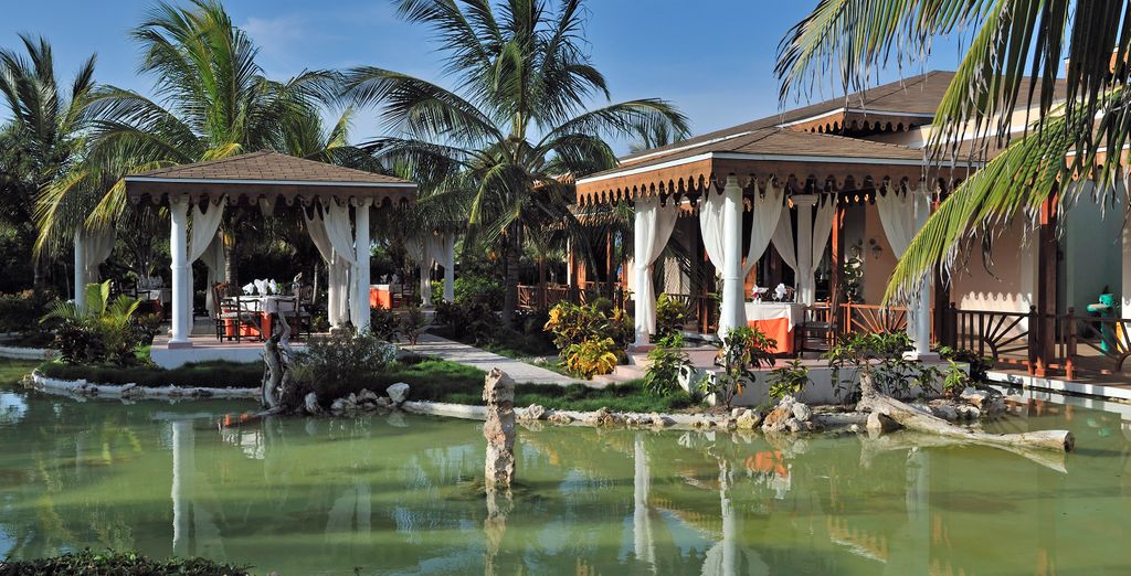 Combinado Meliá Habana 5* y Meliá Las Dunas 5*