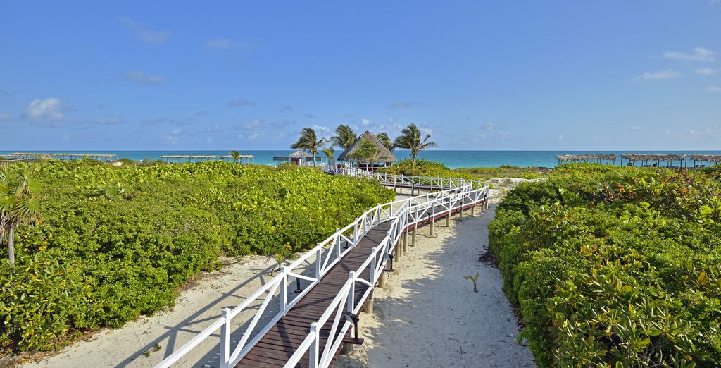 Combinado Meliá Habana 5* y Meliá Las Dunas 5*