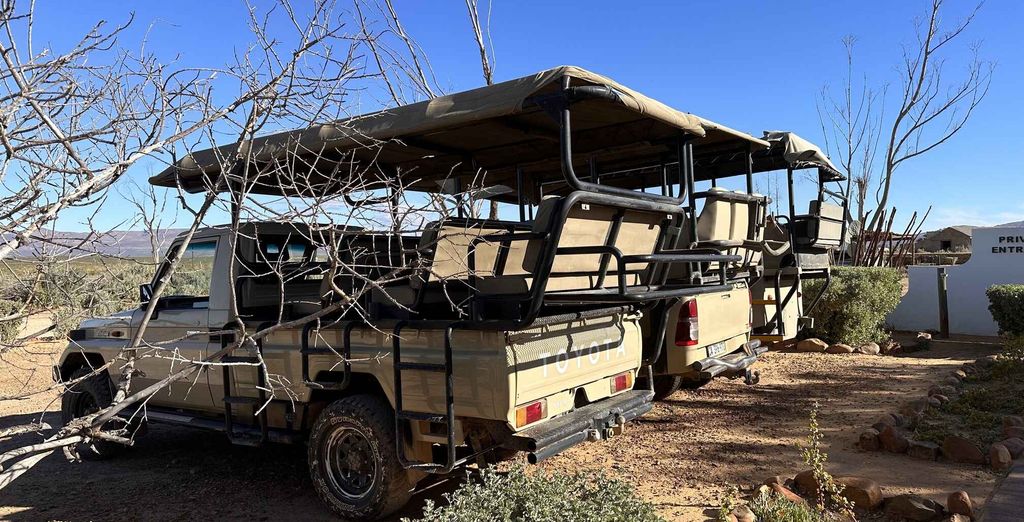 The Bay Hotel 5* con possibile prolungamento all'Inverdoorn Game Reserve Lodge