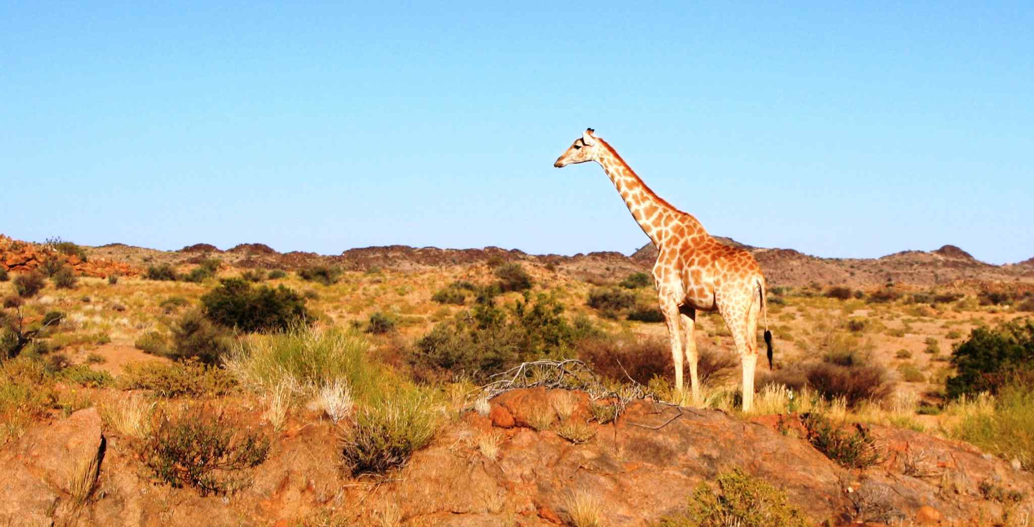 Turaco Lodge 4* – Marloth Park / Afrique du Sud