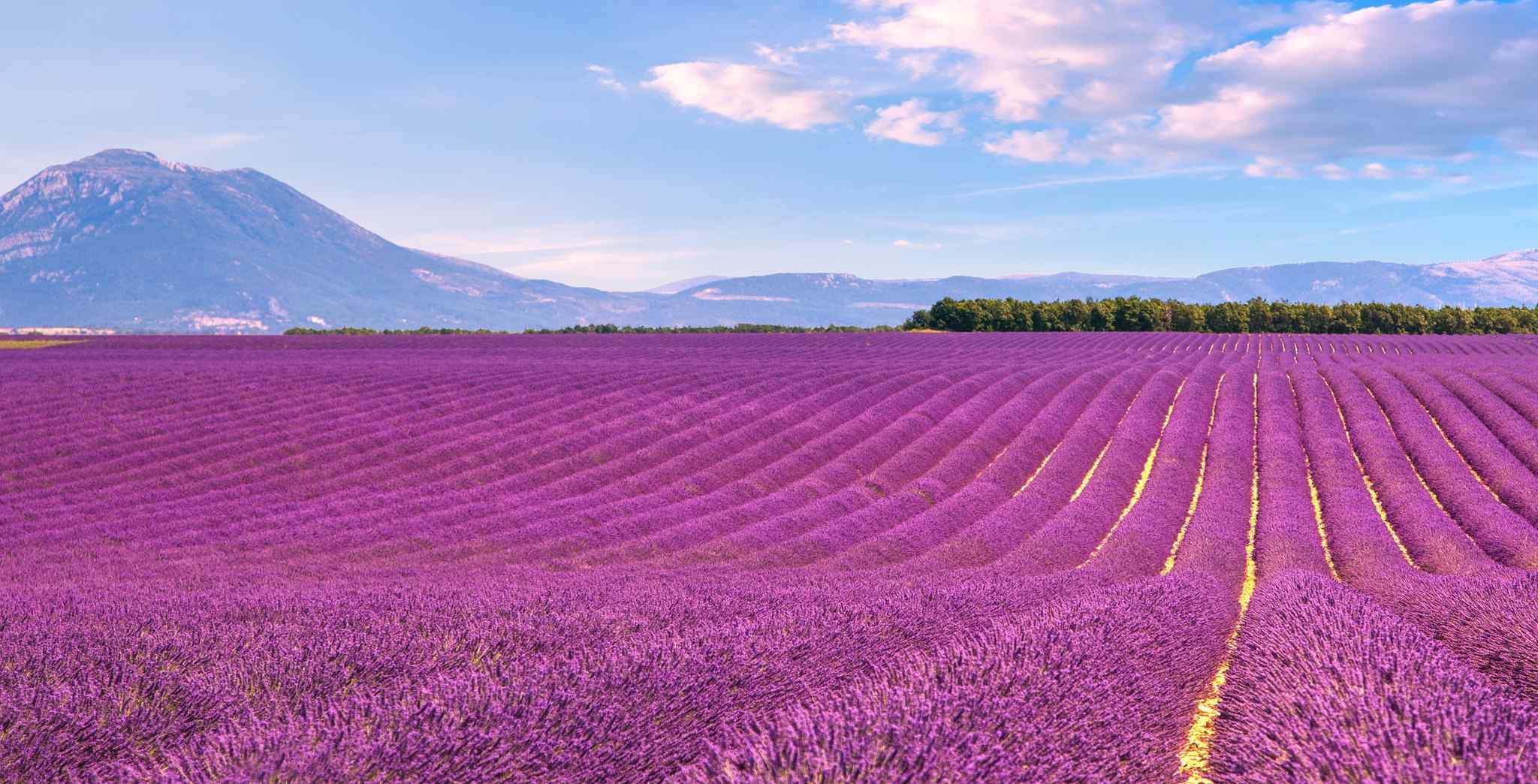 Mercure Aix‑en‑Provence Beaumanoir 4* – Provence / France