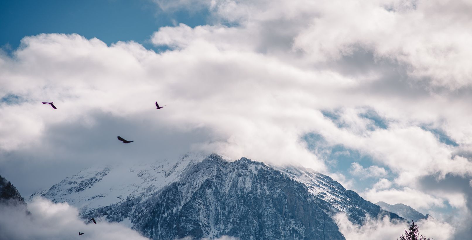 Solea Boutique & Spa Hotel 5*