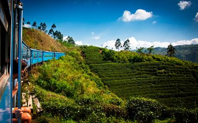Descubre Sri Lanka y extensión a la costa este en Passikudah