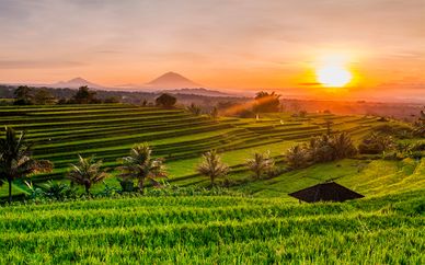 Bali Esencial