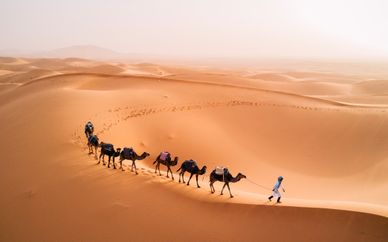 Circuito privado por el Atlas, gargantas y desierto del Sahara