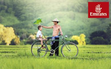 Tour privado Mosaico de Vietnam con opción a Dubái