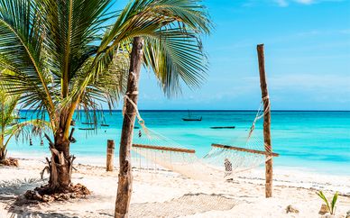 Kibo Palace 4*, Karatu Simba Lodge y Neptune Pwani 5*