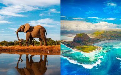 Sudáfrica con safari y The Westin Turtle Bay 5*