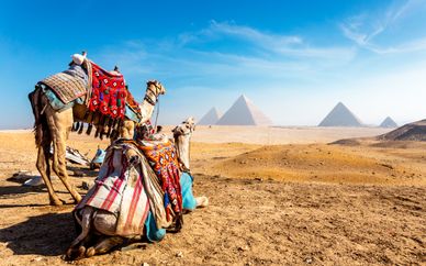 Descubre Egipto con playas del Mar Rojo