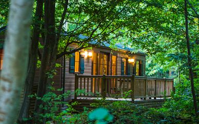 Disney's Davy Crockett Ranch