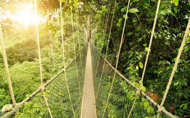 NE PAS UTILISER - Circuit privé Malaisie et extension à Langkawi