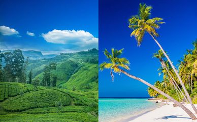 Circuit privatif au Sri Lanka et séjour aux Maldives