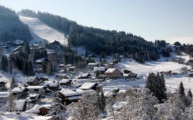 Hôtel & Spa La Croix de Savoie 4*