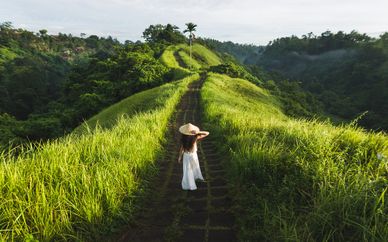 Circuit les couleurs de Bali et Gili