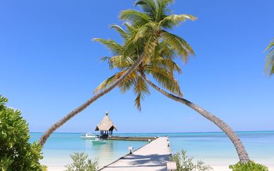 Hôtel Canareef Resort Maldives 4*