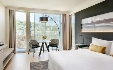 Hôtel Lyon Marriott Cité Internationale 4*