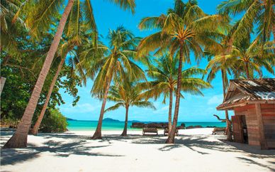 Sun Palm Beach Resort 4*S