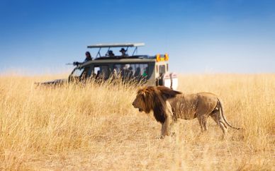 Tour alla scoperta di Botswana e Victoria Falls