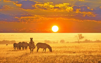 Quintessenza del Sudafrica