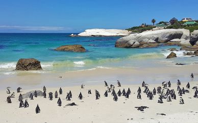 L'essenza del Sudafrica in tour
