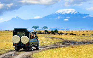 Safari alla scoperta del Kenya