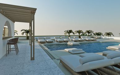 Petri Suites