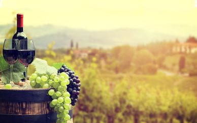 Wine tour della Toscana