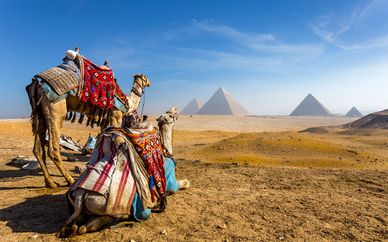 Nile Cruise & Pyramids