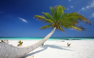 Breathless Riviera Cancun Resort & Spa 5*