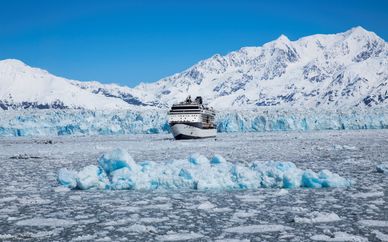 Celebrity Infinity