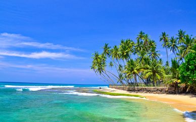 Luxury Private Tour of Sri Lanka in 5* Hotels